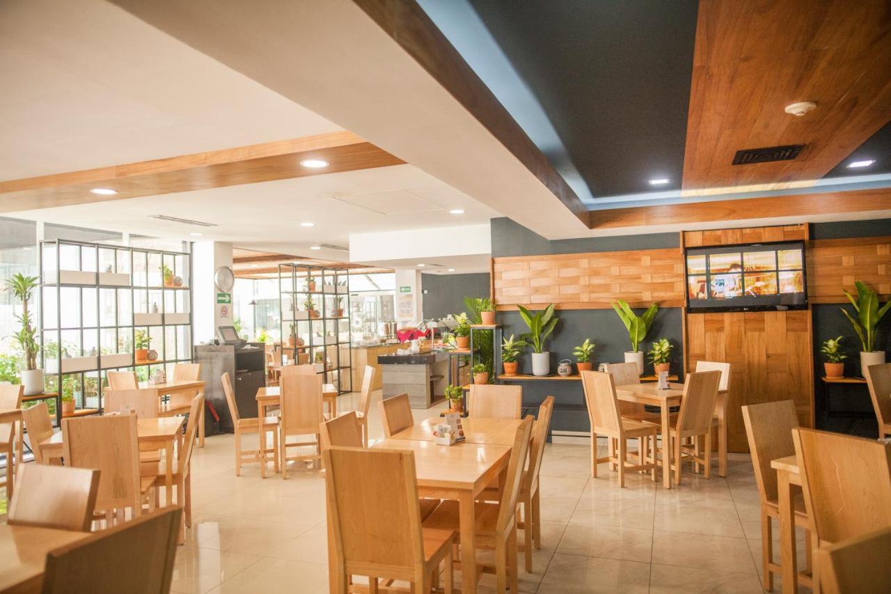 Wyndham Garden Cancun Downtown エクステリア 写真